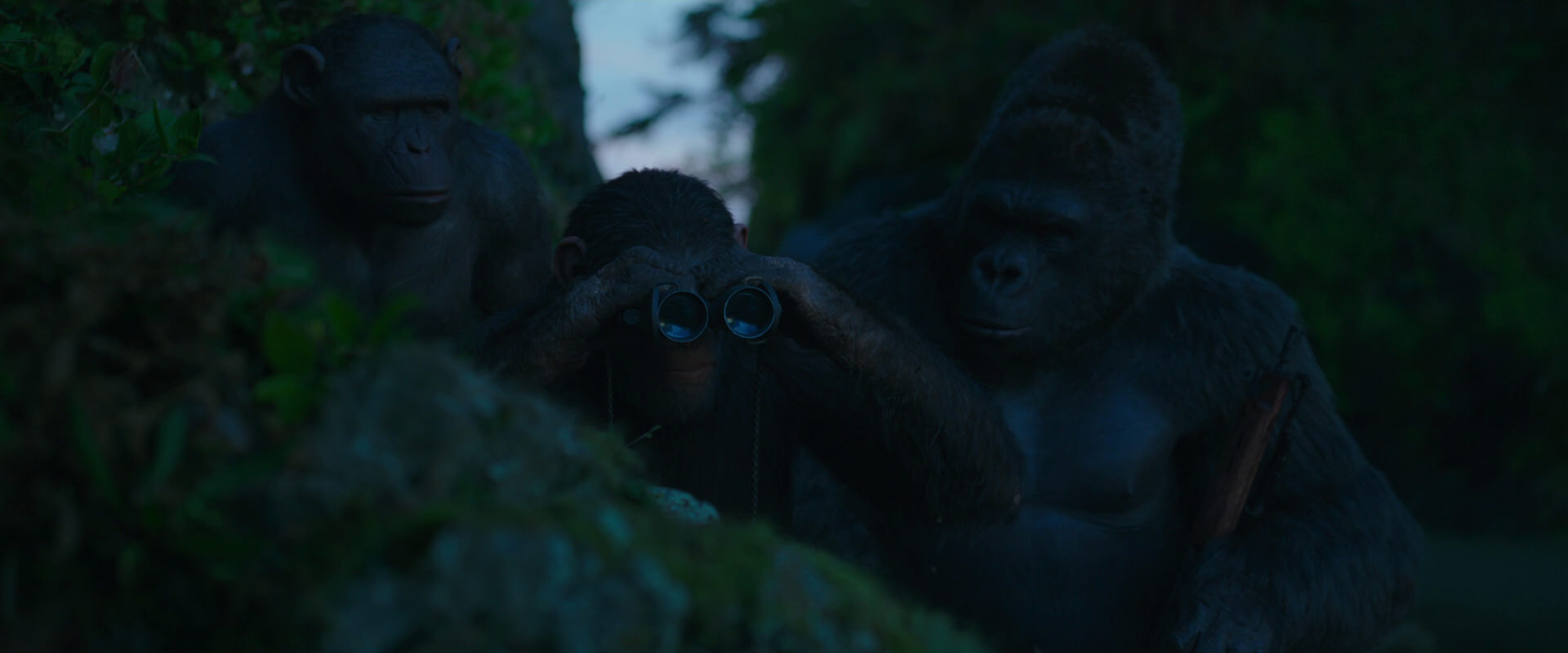 War for the Planet of the Apes (2017) screencap 3987