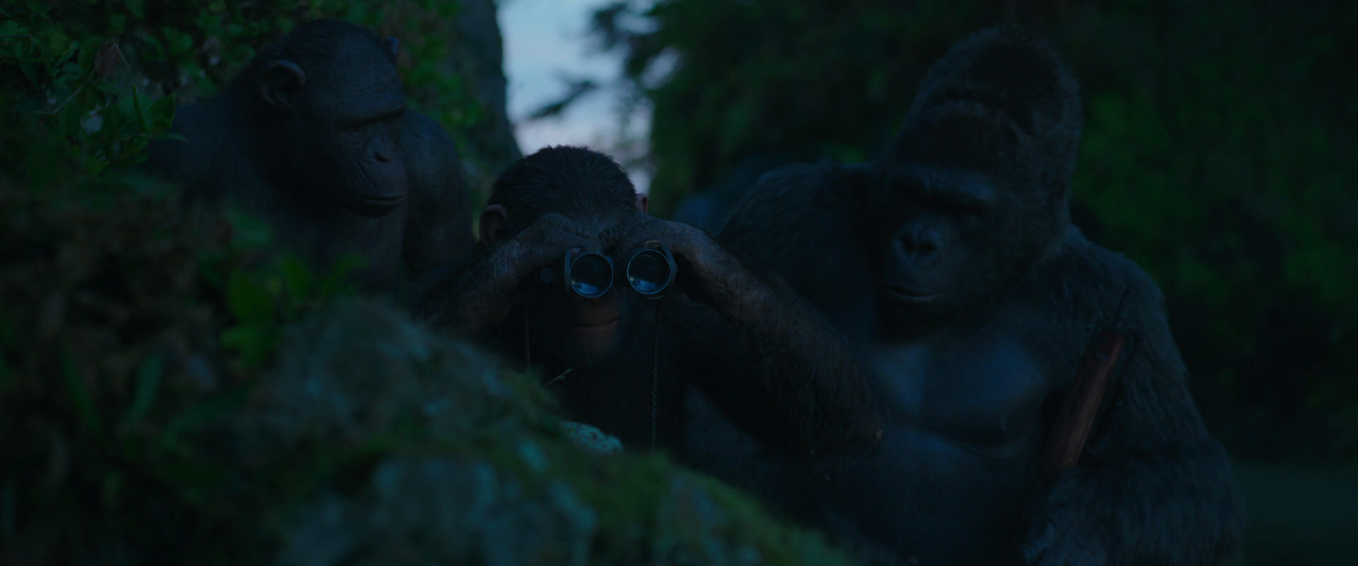 War for the Planet of the Apes (2017) movie still 3988