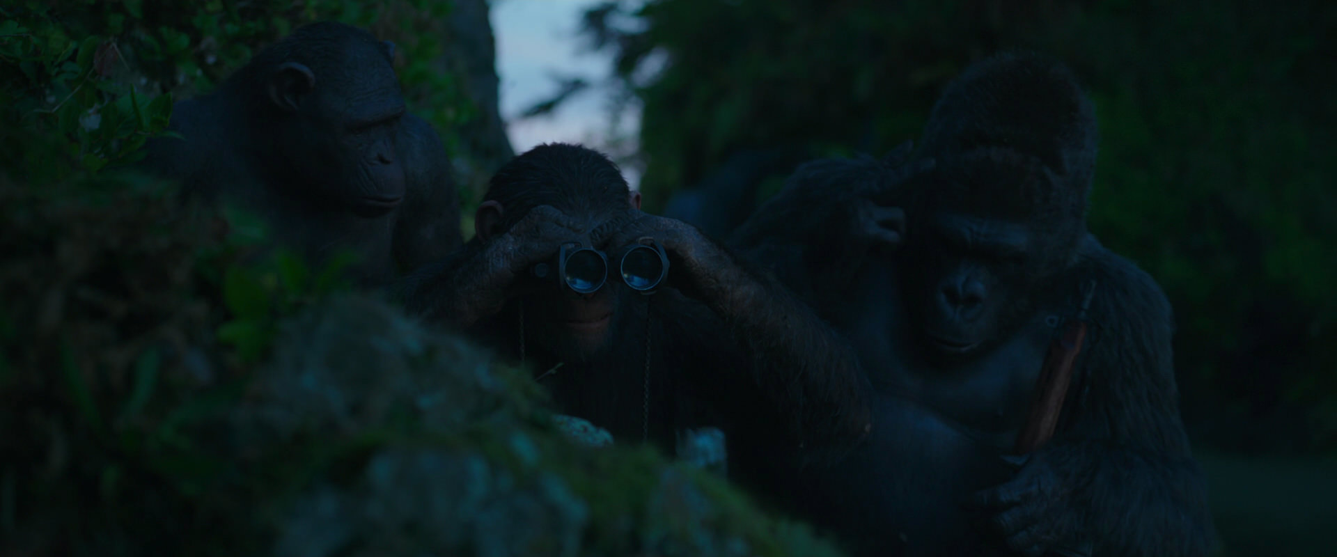 War for the Planet of the Apes (2017) HD screenshot 3989