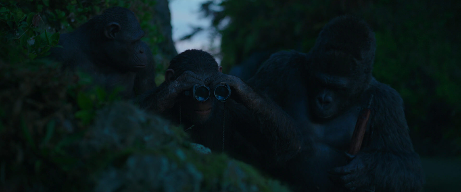 War for the Planet of the Apes (2017) screencap 3990