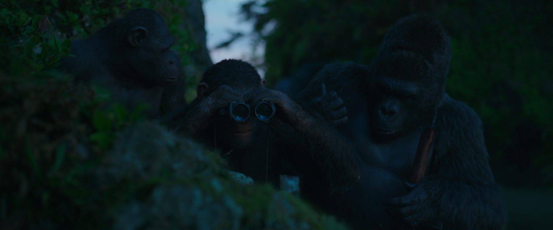 War for the Planet of the Apes (2017) movie still 3991