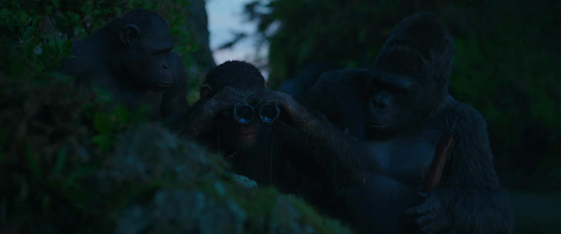 War for the Planet of the Apes (2017) HD screenshot 3992