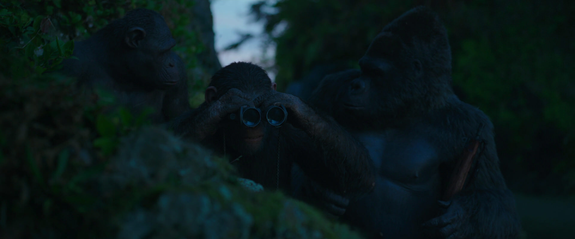 War for the Planet of the Apes (2017) screencap 3993