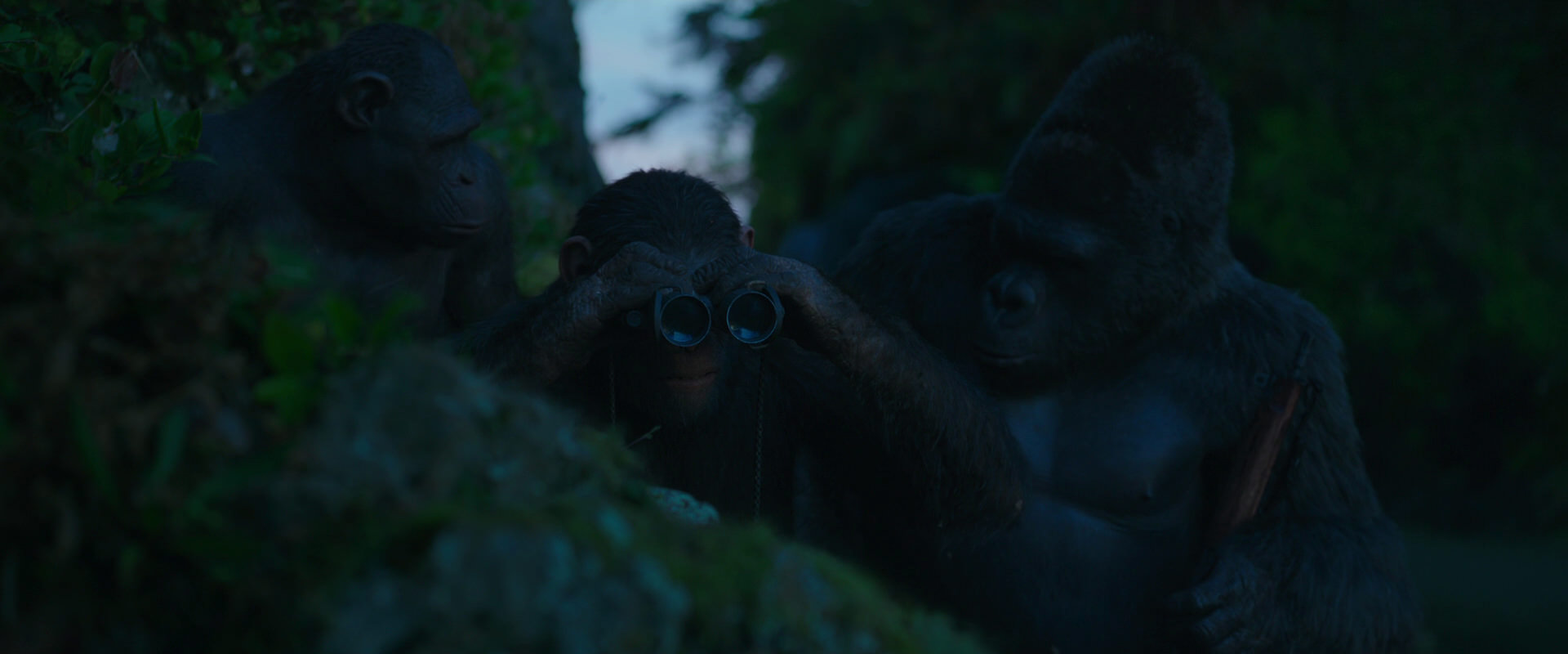 War for the Planet of the Apes (2017) movie still 3994