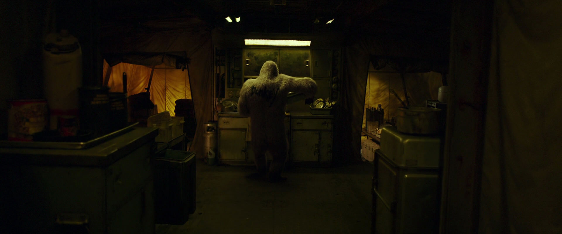 War for the Planet of the Apes (2017) HD screenshot 4013