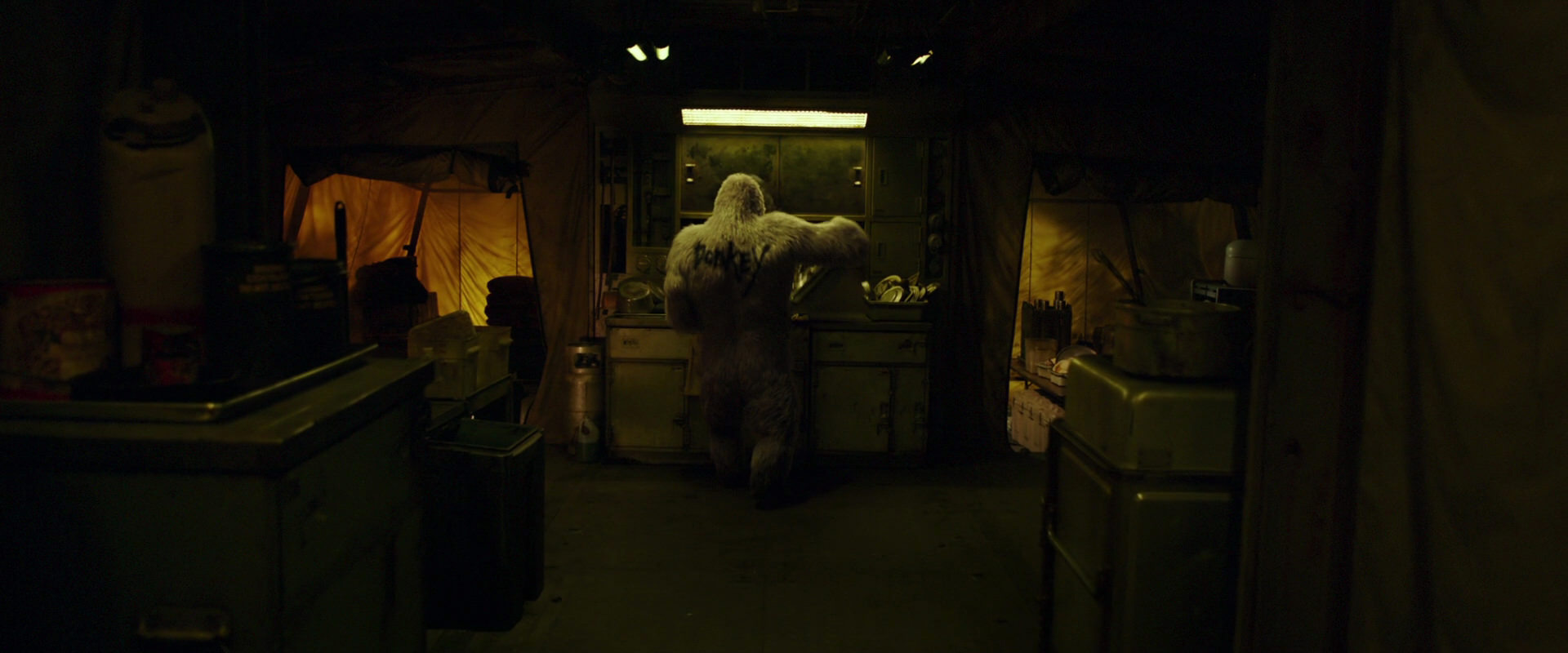 War for the Planet of the Apes (2017) screencap 4014
