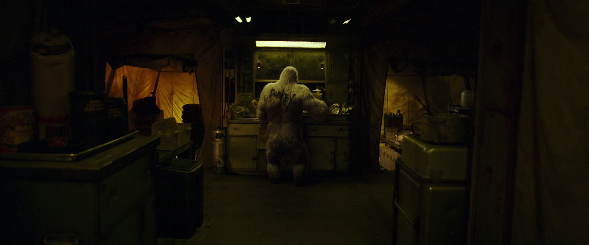 War for the Planet of the Apes (2017) movie still 4015