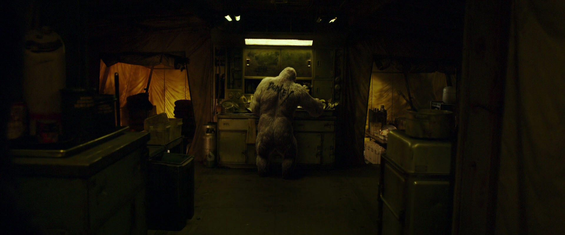 War for the Planet of the Apes (2017) HD screenshot 4016