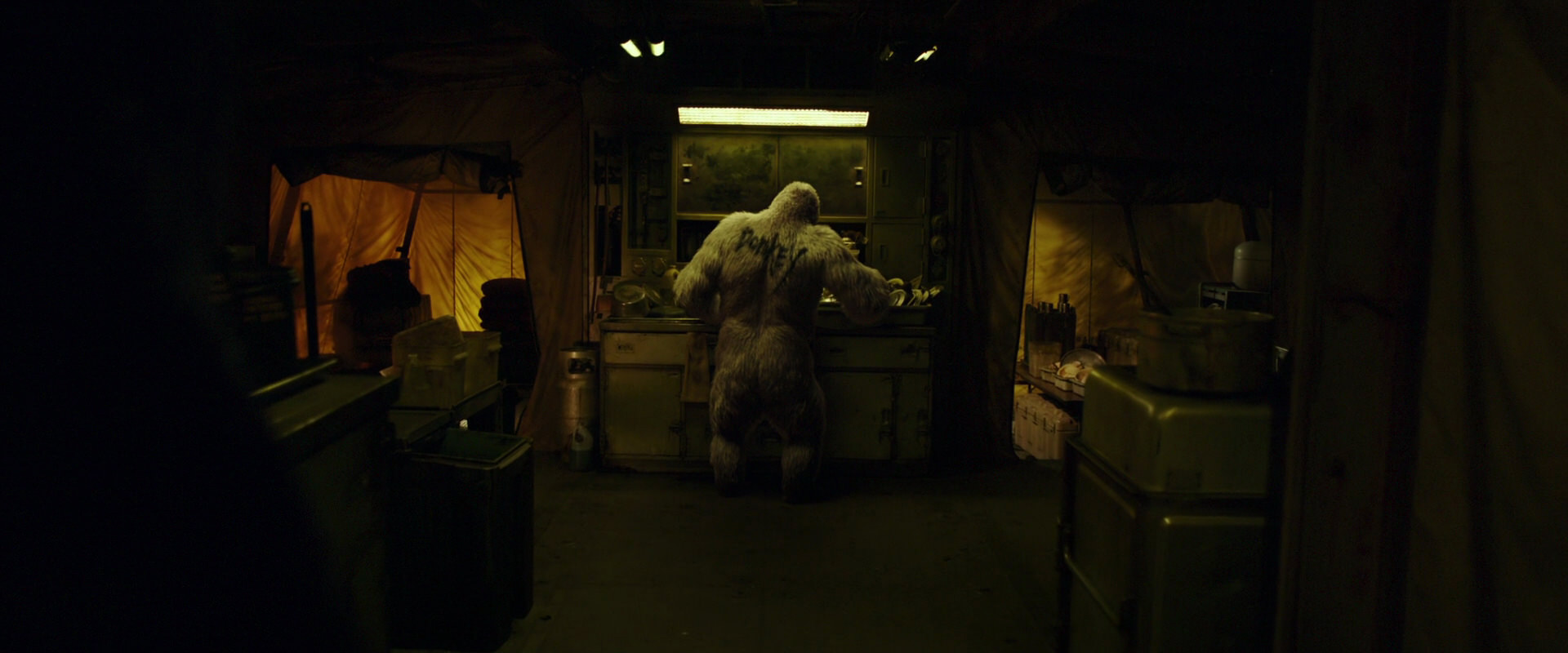 War for the Planet of the Apes (2017) movie still 4018