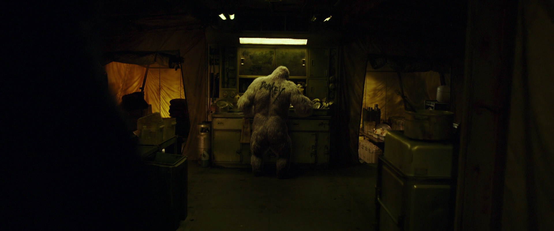 War for the Planet of the Apes (2017) HD screenshot 4019