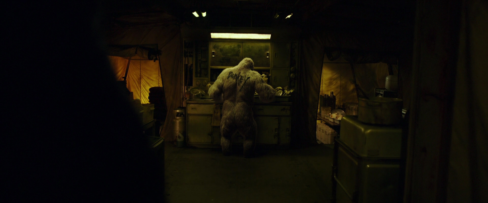 War for the Planet of the Apes (2017) screencap 4020