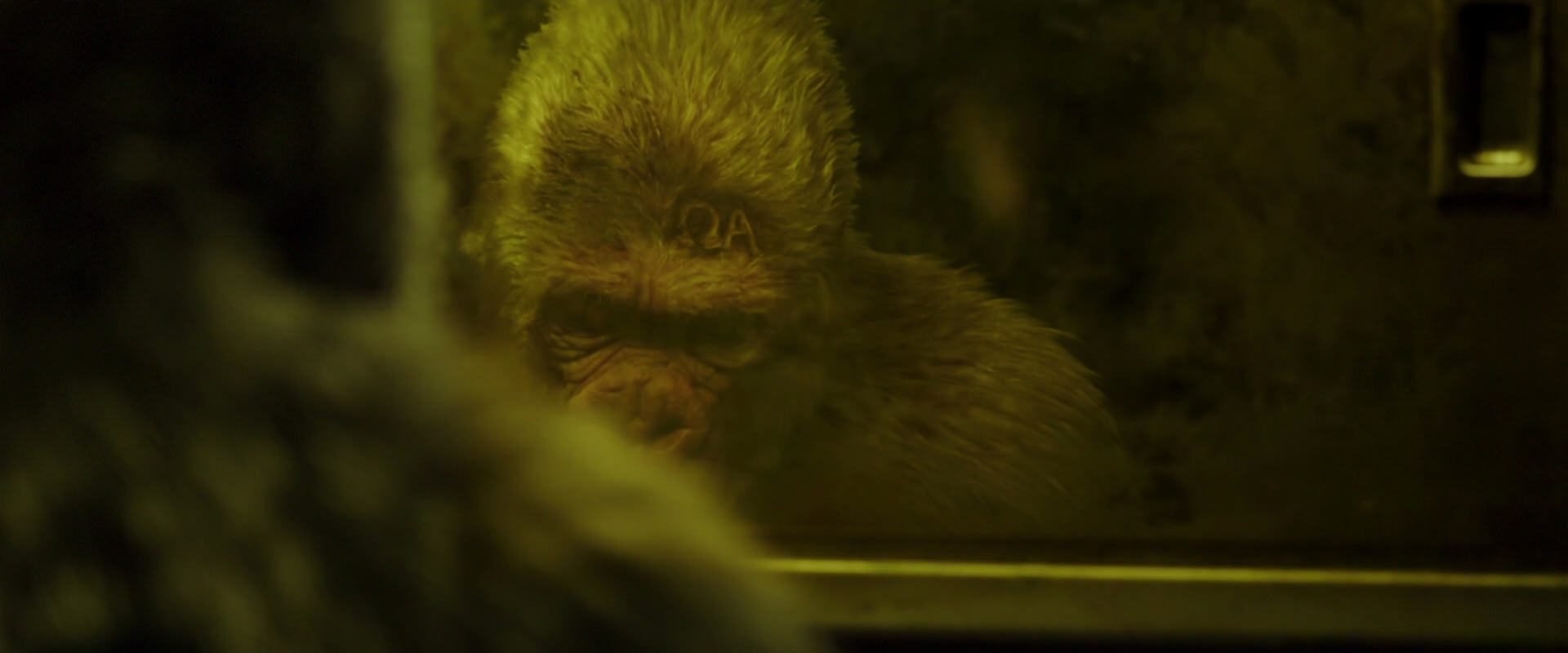 War for the Planet of the Apes (2017) movie still 4021
