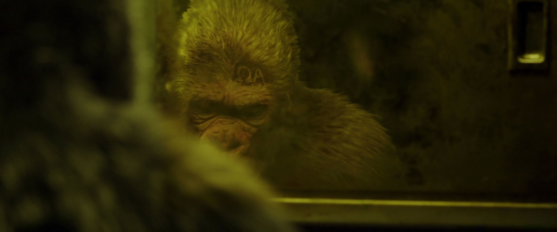 War for the Planet of the Apes (2017) HD screenshot 4022