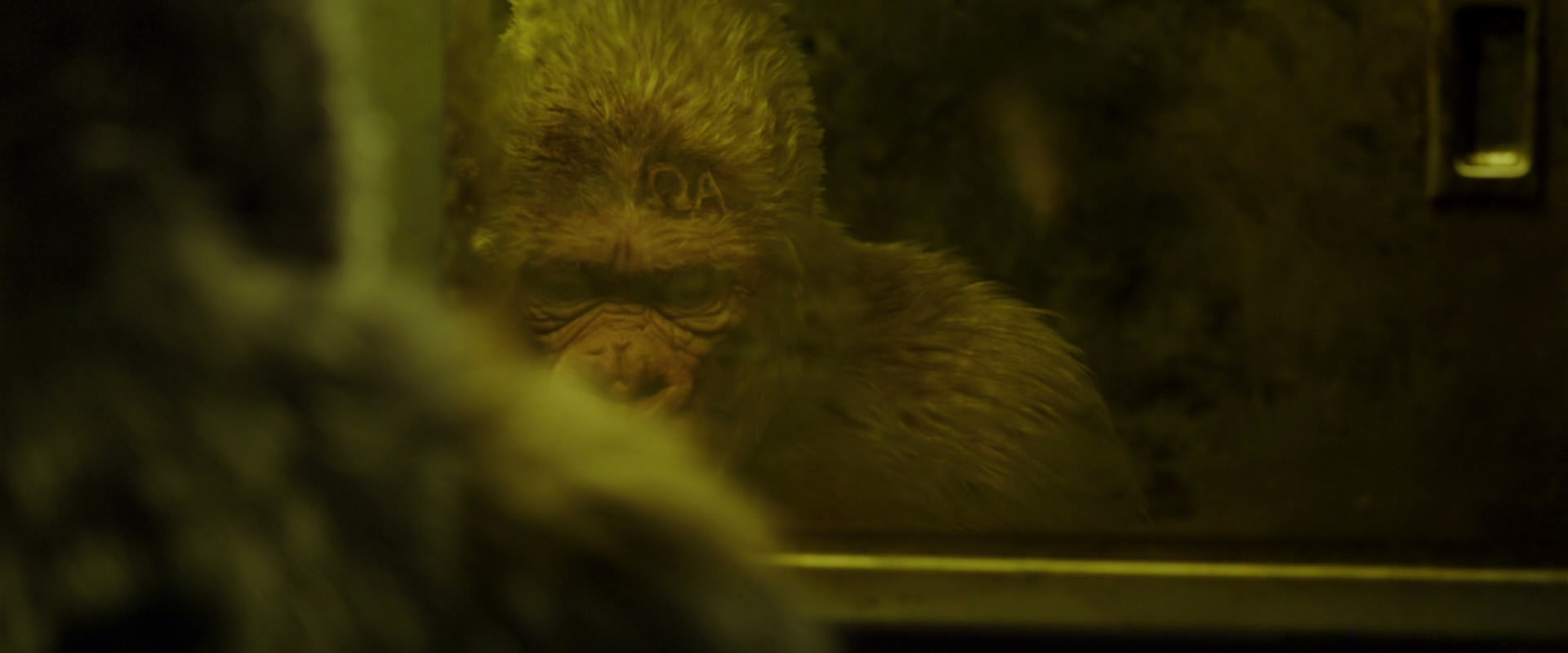 War for the Planet of the Apes (2017) screencap 4023