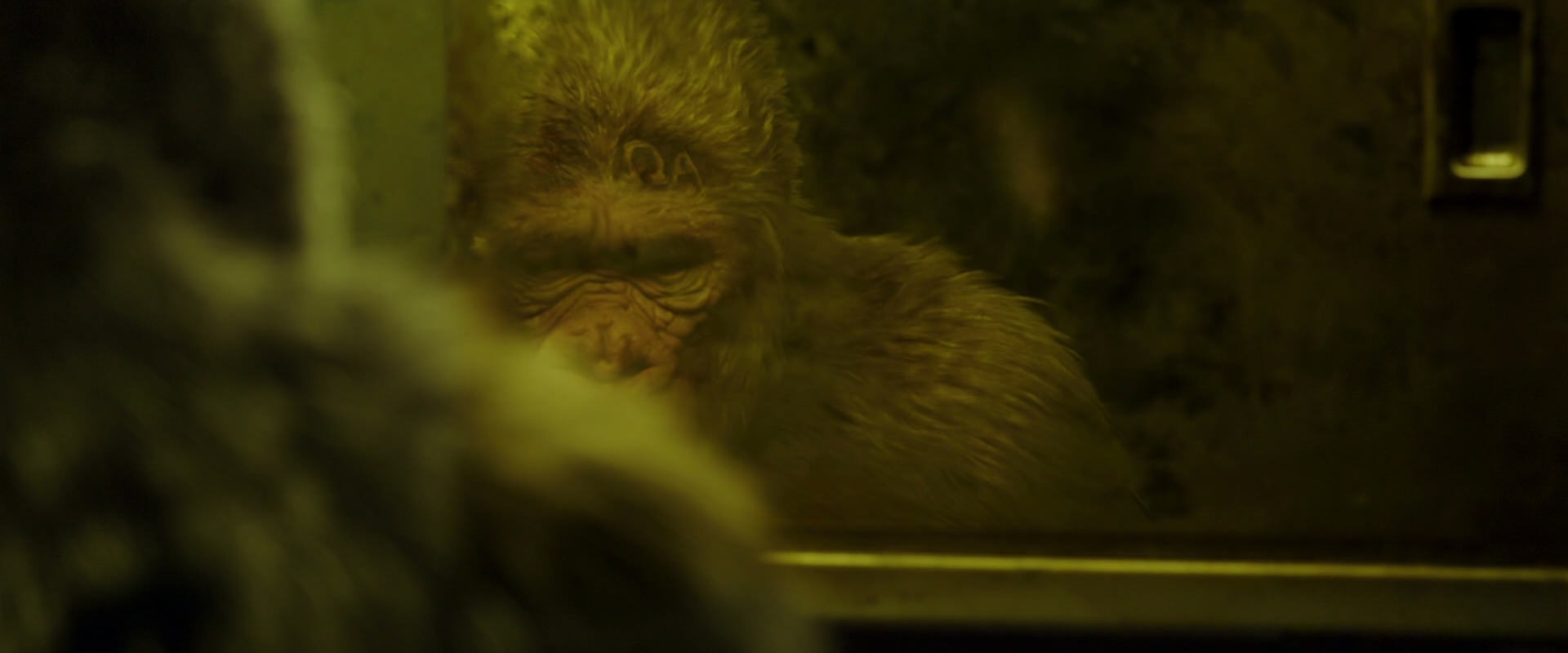 War for the Planet of the Apes (2017) movie still 4024