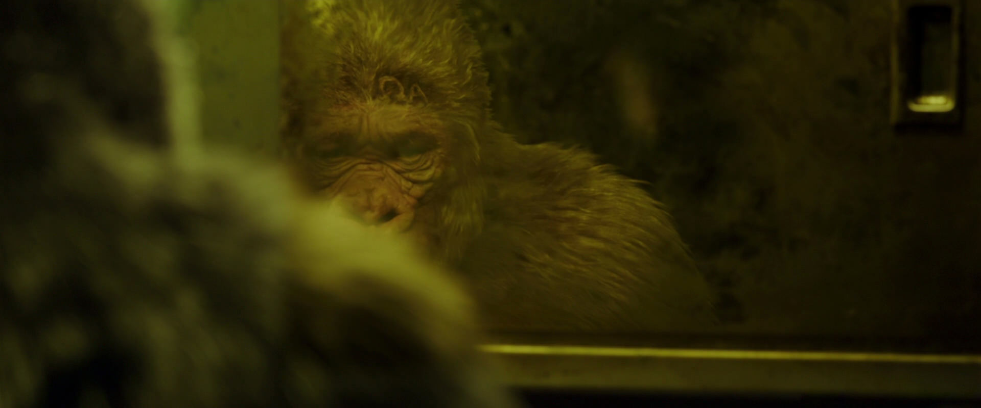 War for the Planet of the Apes (2017) HD screenshot 4025