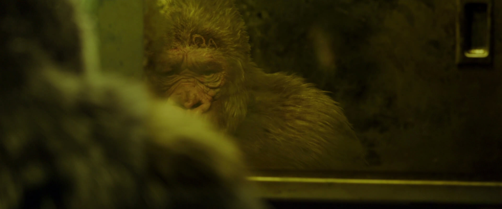 War for the Planet of the Apes (2017) screencap 4026
