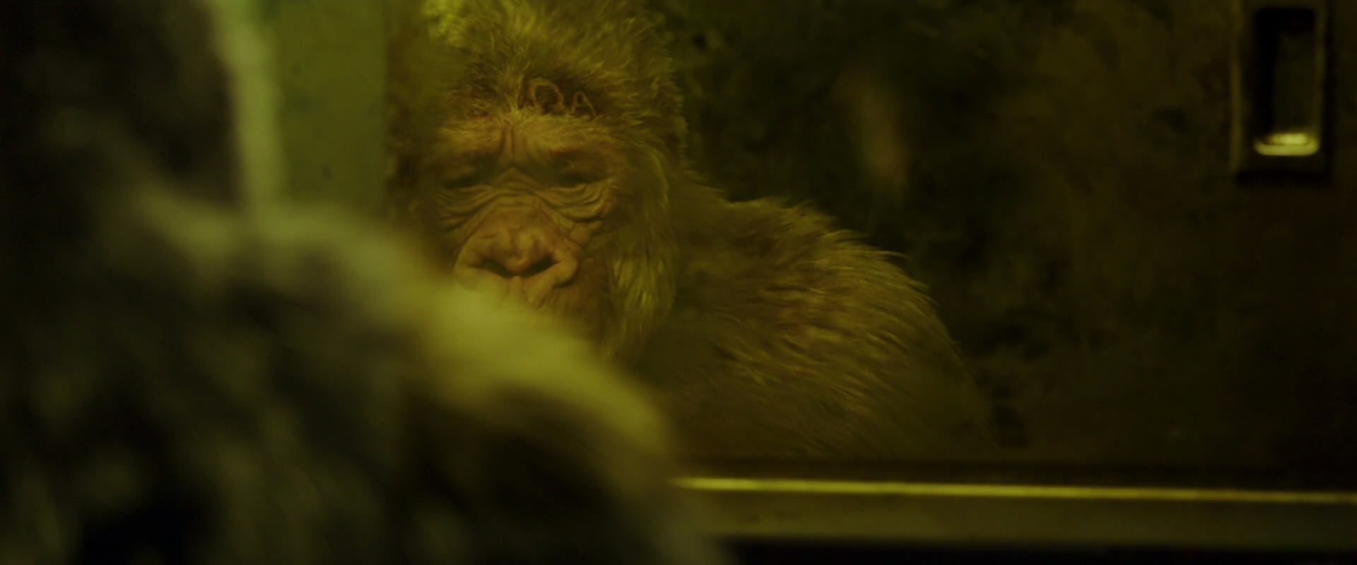War for the Planet of the Apes (2017) movie still 4027