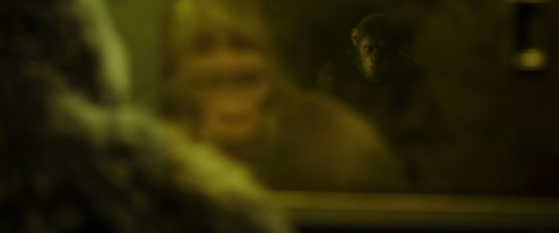 War for the Planet of the Apes (2017) HD screenshot 4028
