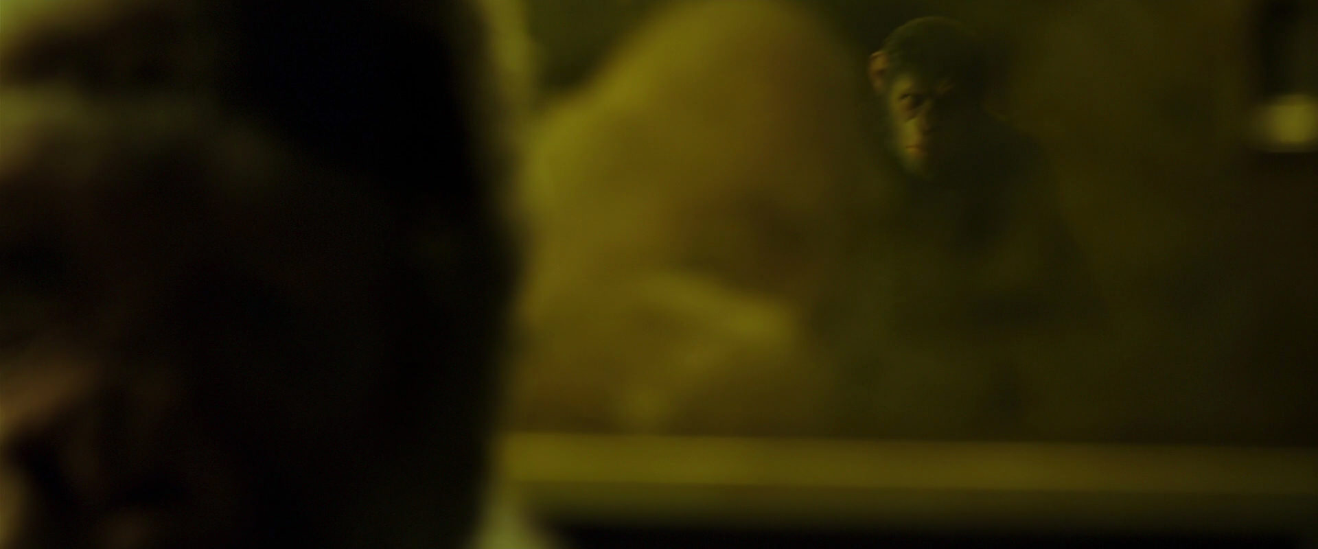 War for the Planet of the Apes (2017) screencap 4029