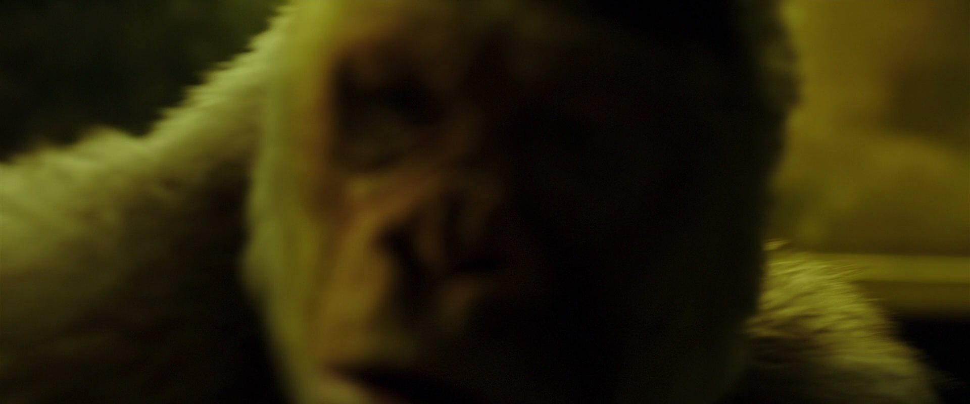 War for the Planet of the Apes (2017) movie still 4030