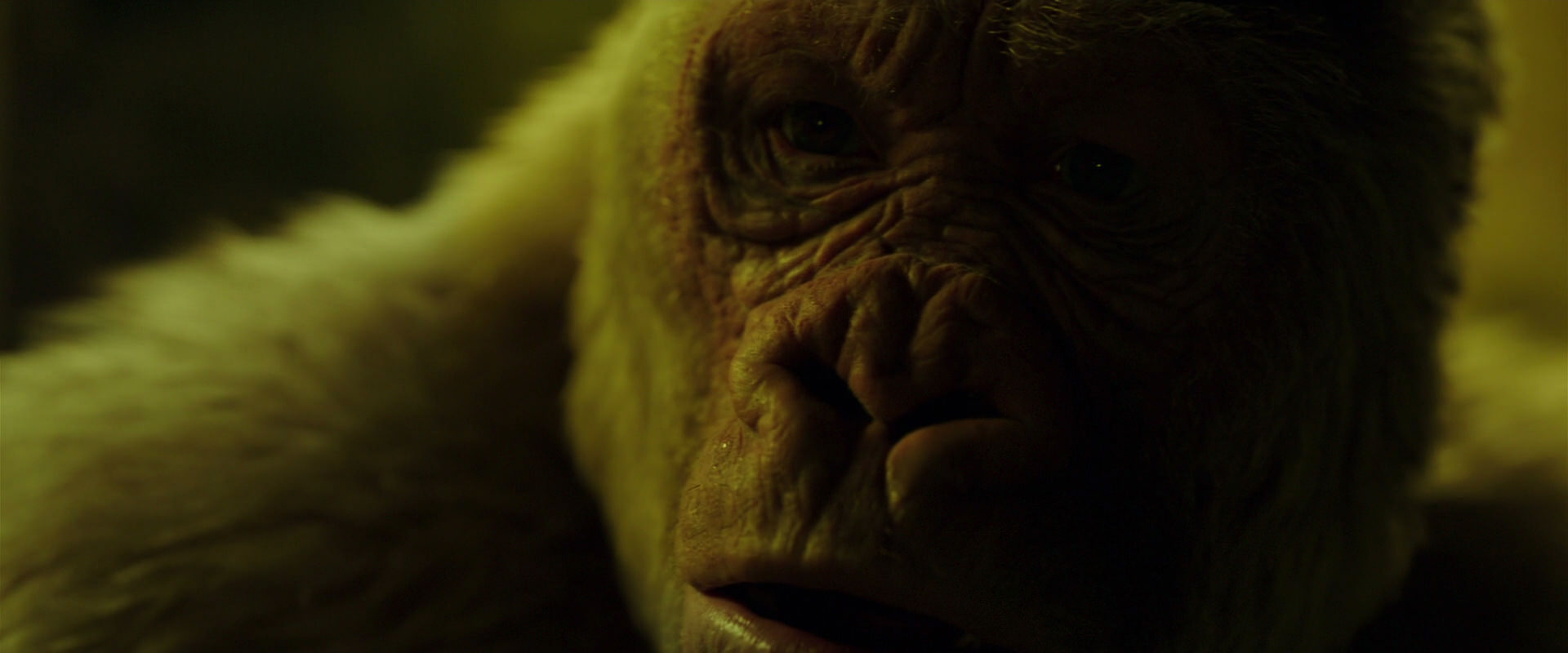 War for the Planet of the Apes (2017) HD screenshot 4031