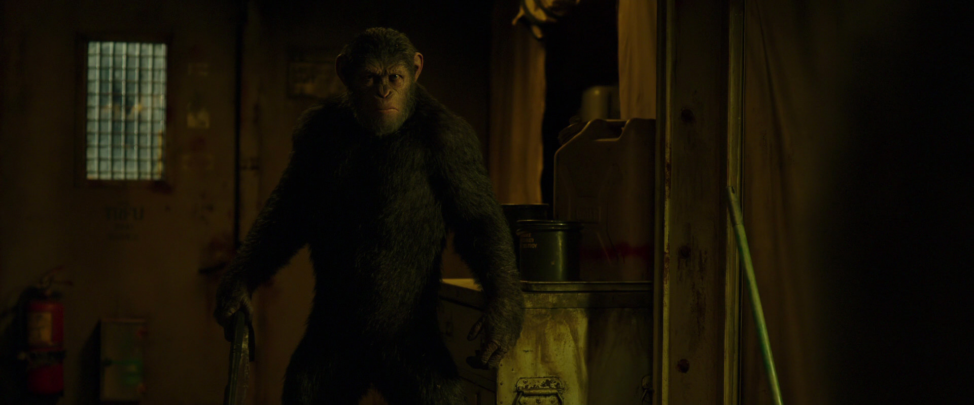 War for the Planet of the Apes (2017) screencap 4032