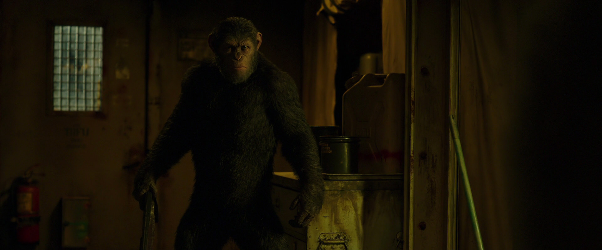 War for the Planet of the Apes (2017) movie still 4033