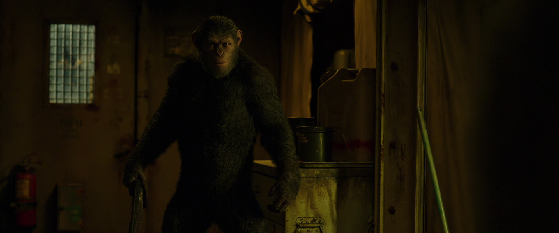 War for the Planet of the Apes (2017) screencap 4035