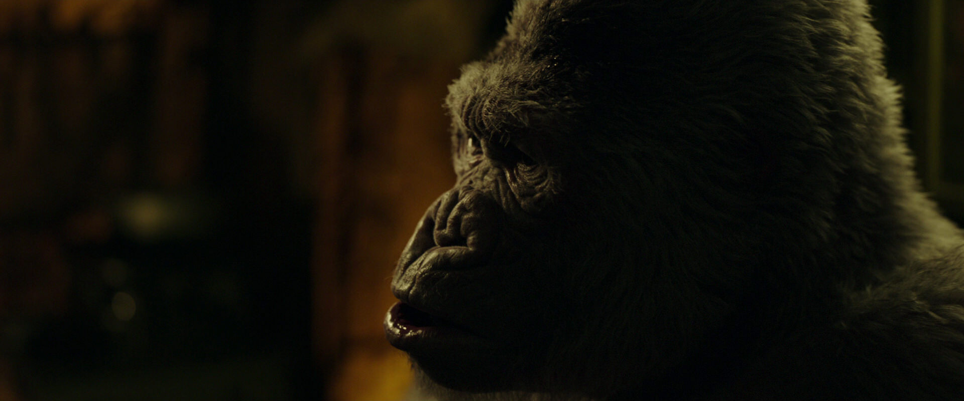 War for the Planet of the Apes (2017) movie still 4036
