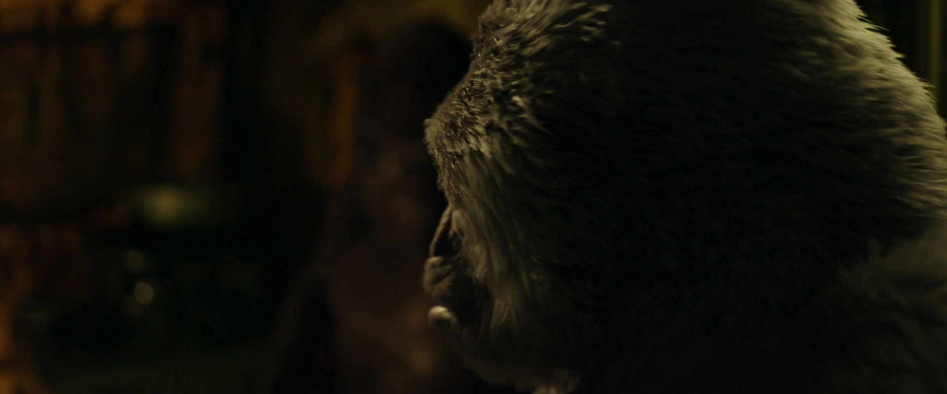 War for the Planet of the Apes (2017) screencap 4038
