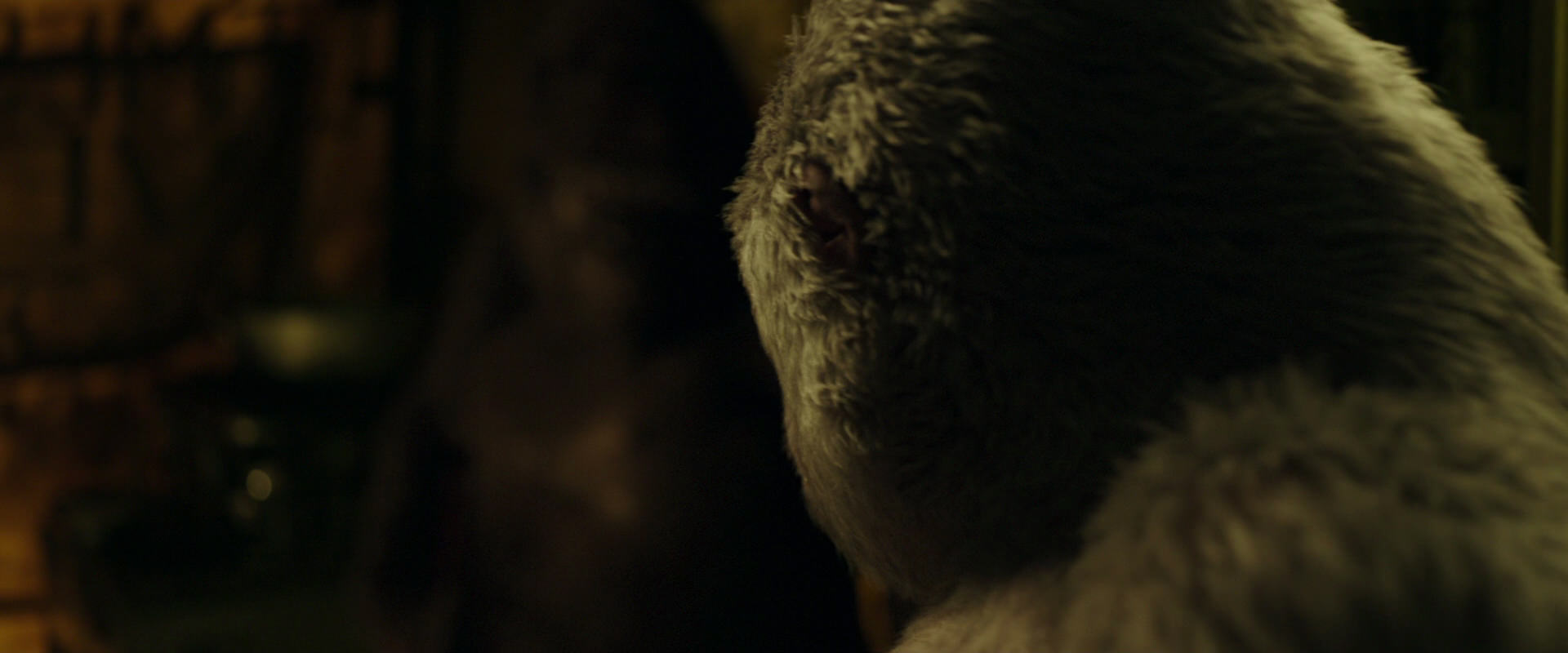 War for the Planet of the Apes (2017) movie still 4039