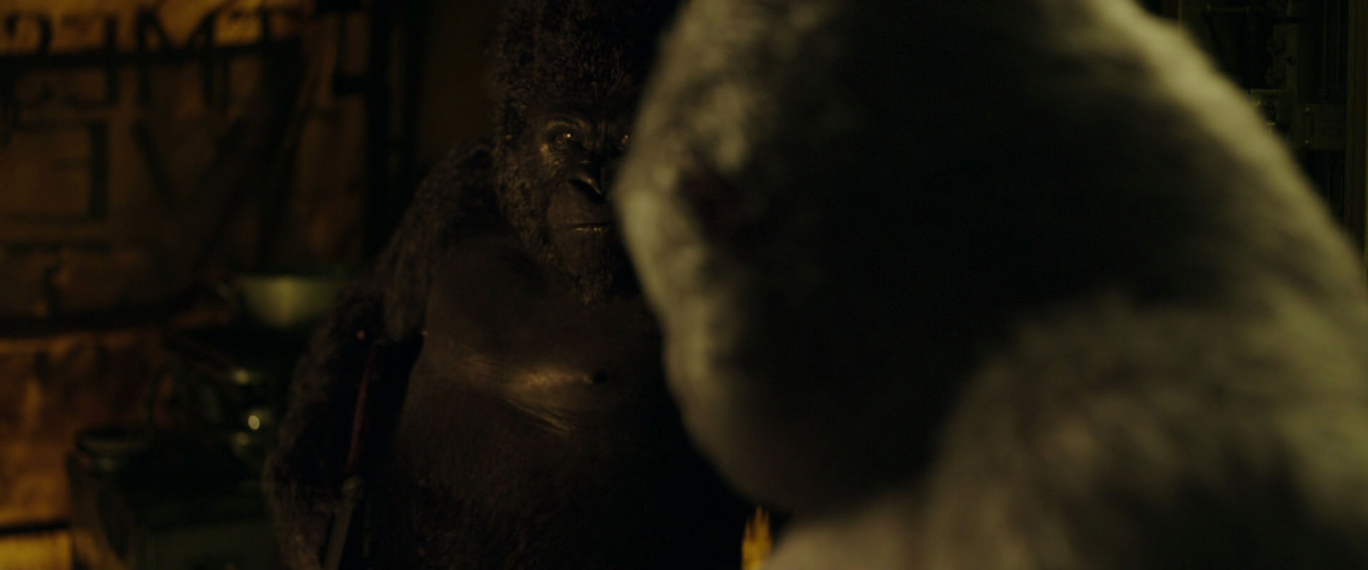 War for the Planet of the Apes (2017) screencap 4041