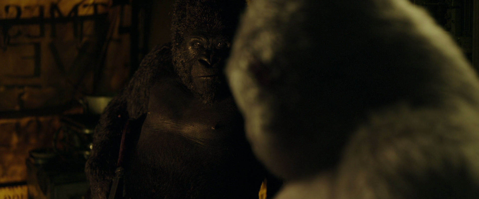 War for the Planet of the Apes (2017) movie still 4042