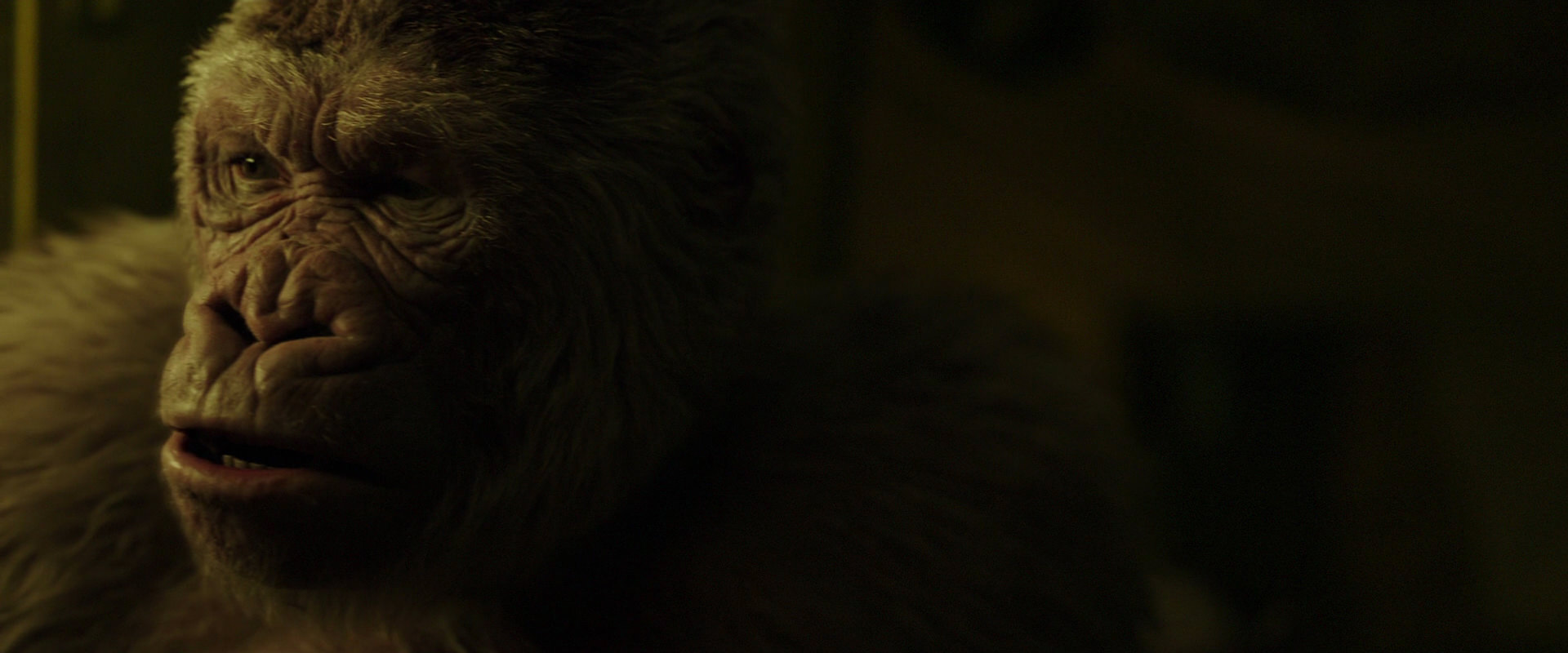 War for the Planet of the Apes (2017) HD screenshot 4043