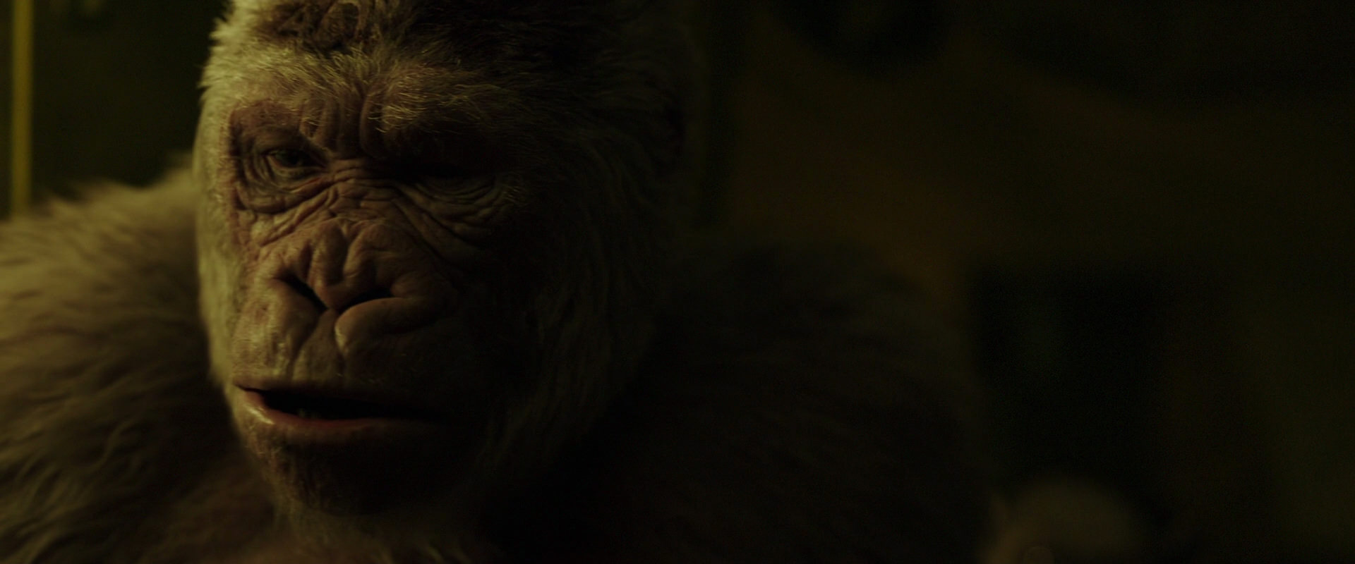 War for the Planet of the Apes (2017) screencap 4044