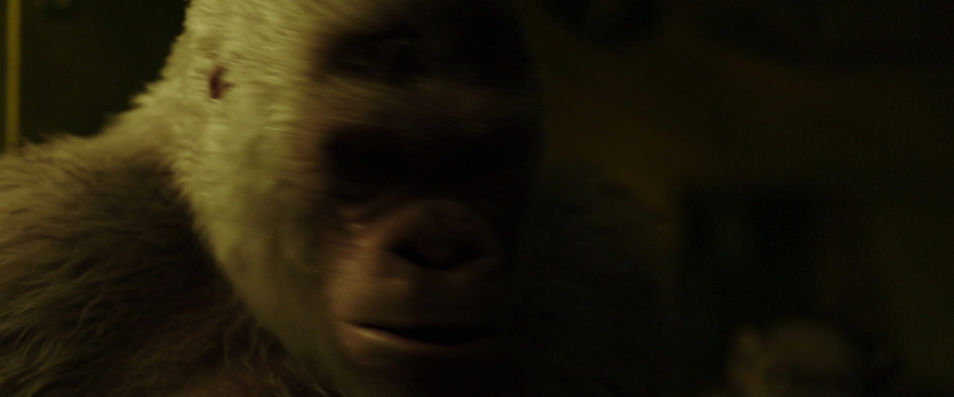 War for the Planet of the Apes (2017) movie still 4045