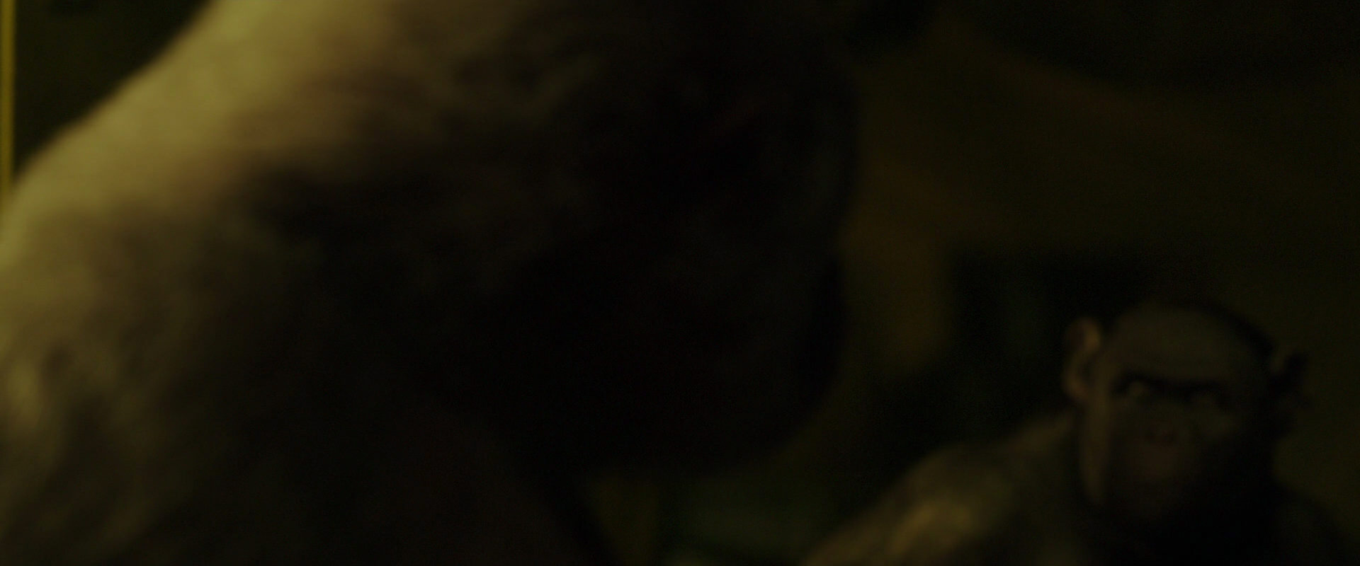 War for the Planet of the Apes (2017) screencap 4047