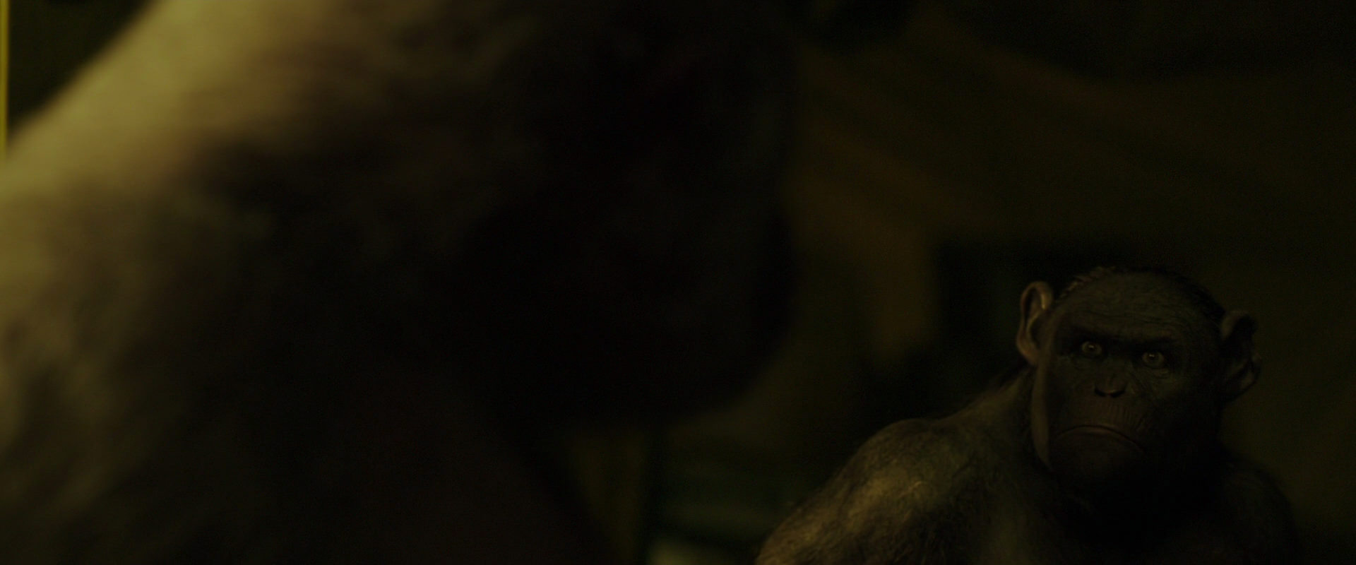 War for the Planet of the Apes (2017) movie still 4048