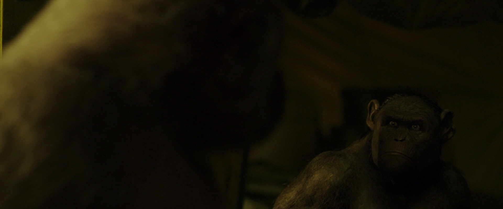 War for the Planet of the Apes (2017) HD screenshot 4049