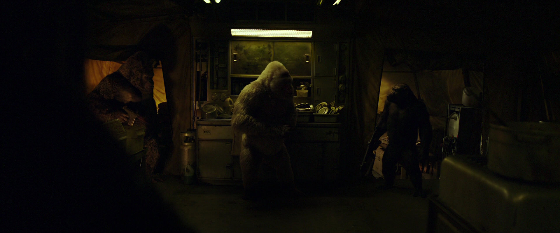 War for the Planet of the Apes (2017) movie still 4051