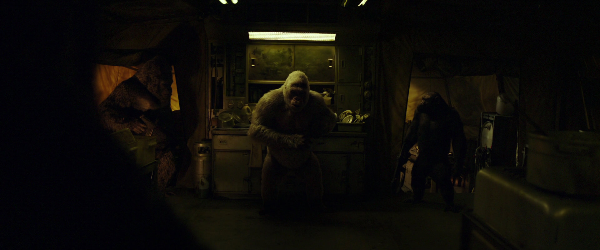 War for the Planet of the Apes (2017) screencap 4056