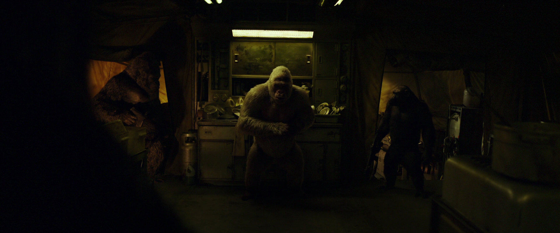 War for the Planet of the Apes (2017) movie still 4057
