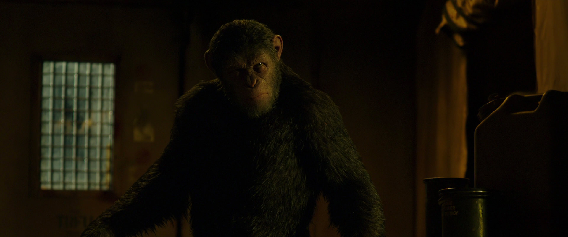 War for the Planet of the Apes (2017) movie still 4060