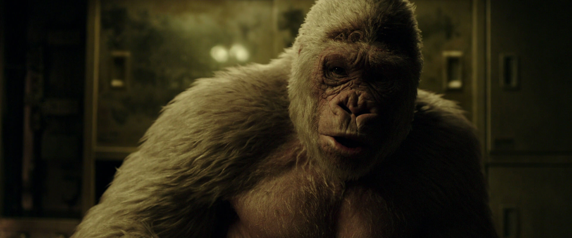 War for the Planet of the Apes (2017) screencap 4062