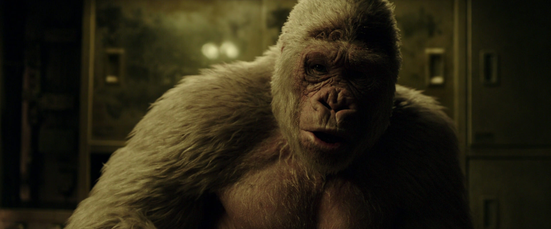 War for the Planet of the Apes (2017) movie still 4063