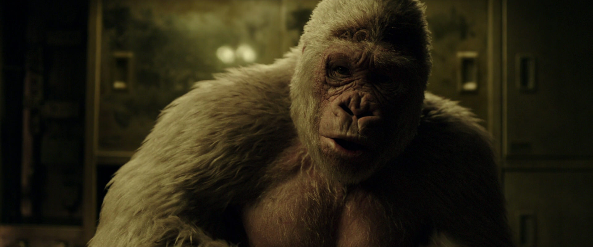 War for the Planet of the Apes (2017) HD screenshot 4064