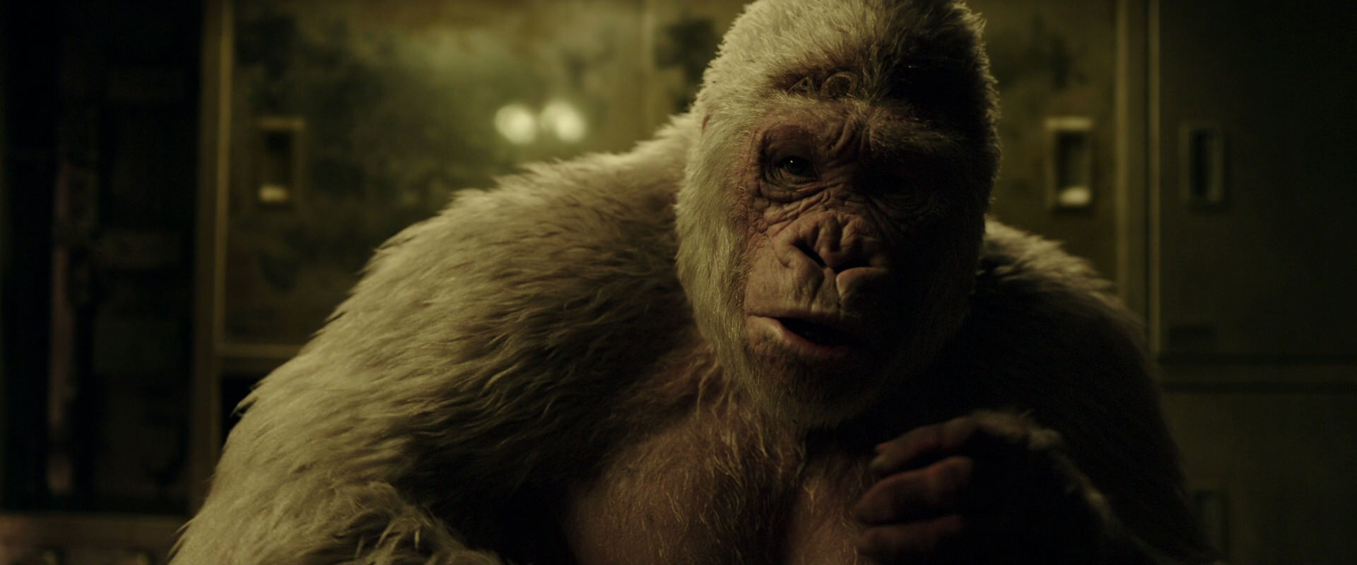 War for the Planet of the Apes (2017) screencap 4065