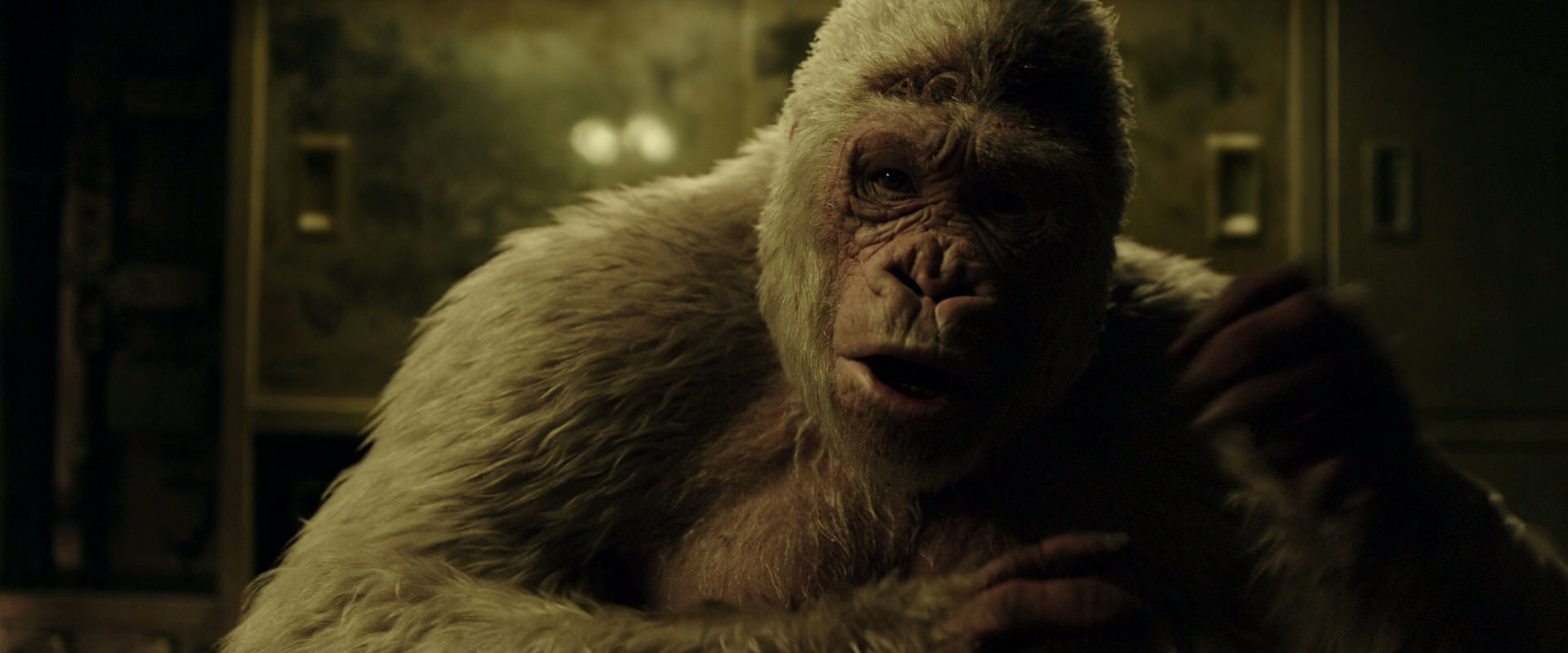 War for the Planet of the Apes (2017) movie still 4066