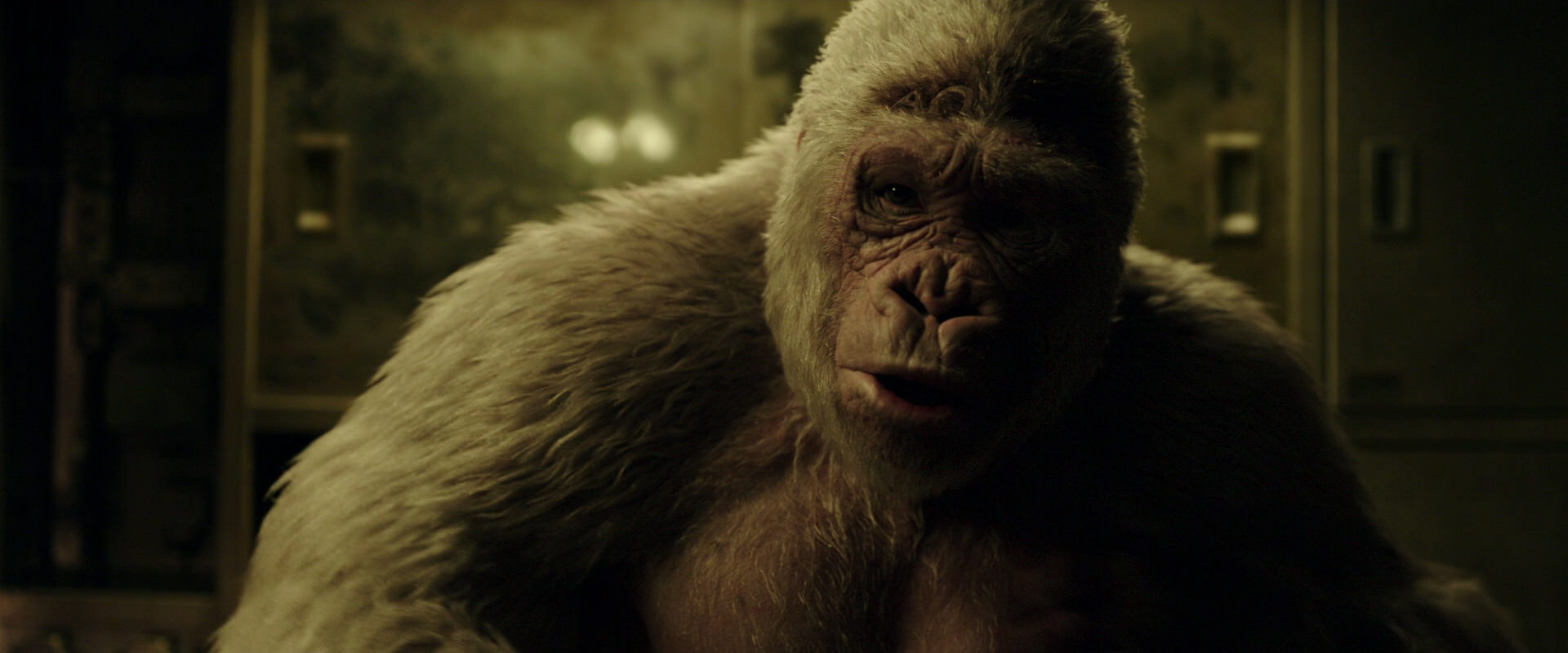 War for the Planet of the Apes (2017) HD screenshot 4067